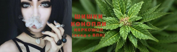 spice Абинск